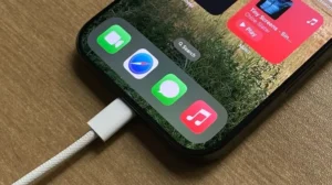 Working Principles of iPhone charging
